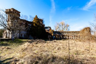 Bahar ayının başlarında XIX yüzyılından kalma bir şatonun kalıntıları. Konum: Macaristan, Borç