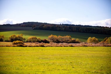 Sonbaharın başlarında dağda renkli sonbahar manzarası