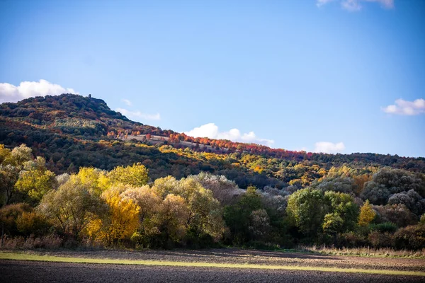 Färgglada Höst Landskap Berget Början Hösten — Stockfoto