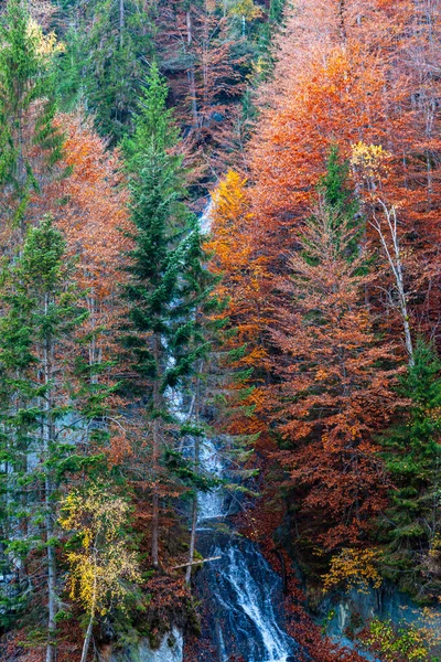 Bunte Herbstlandschaft Gebirge Frühherbst — Stockfoto