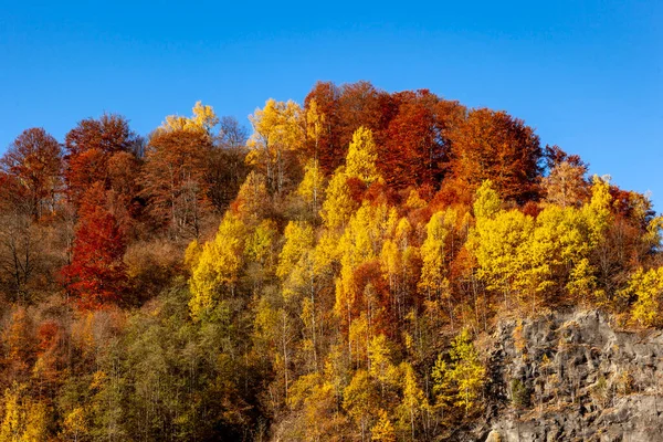 Färgglada Höst Landskap Berget Början Hösten — Stockfoto