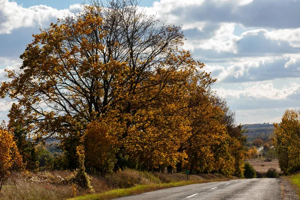 Kolorowy Jesienny Krajobraz Górach Wczesną Jesienią — Zdjęcie stockowe