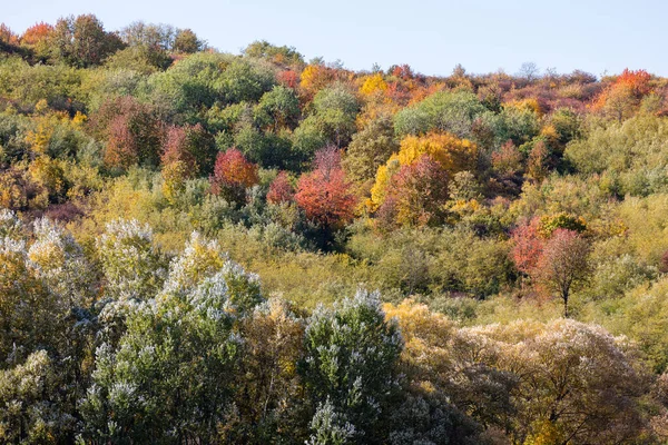 Färgglada Höst Landskap Berget Början Hösten — Stockfoto