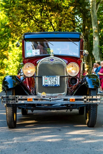 Festival Rear Vintage Cars Mercedes Driven Owners Back Road Again — Stock Photo, Image