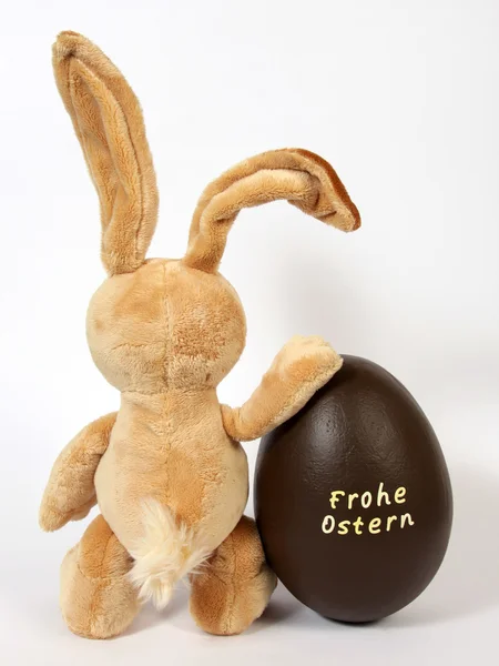 Der Osterhase — Stockfoto