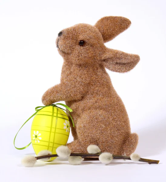 El conejo de Pascua —  Fotos de Stock