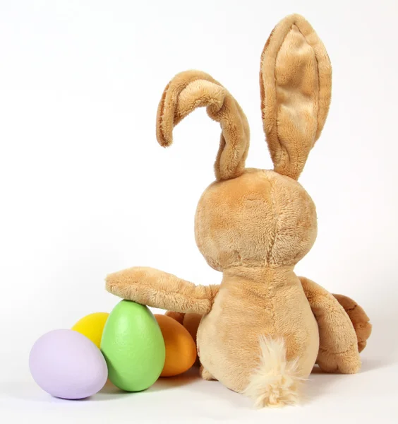 The Easter Bunny — Stock Photo, Image