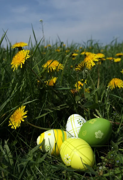 The Easter Eggs — Stock Photo, Image