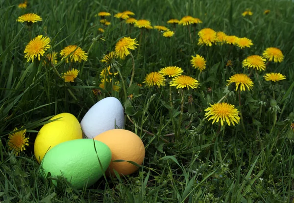 The Easter Eggs — Stock Photo, Image