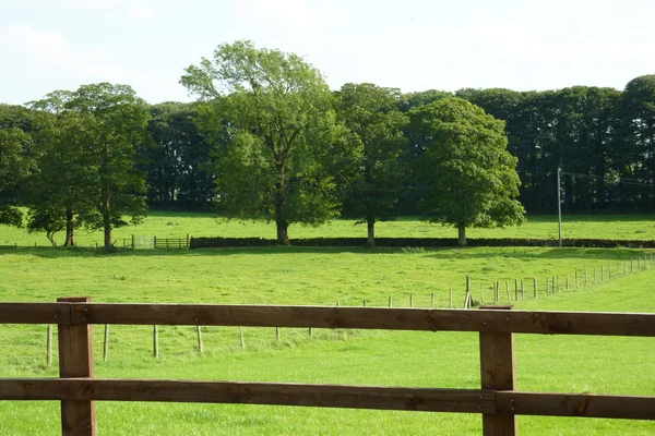 Terras agrícolas de Yorkshire — Fotografia de Stock