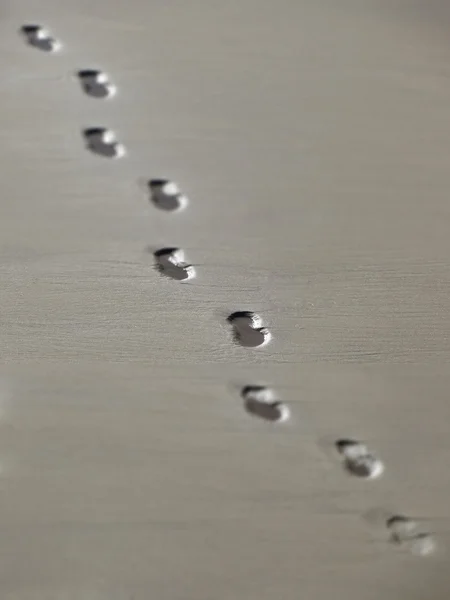Shoe prints in sand — Stock Photo, Image