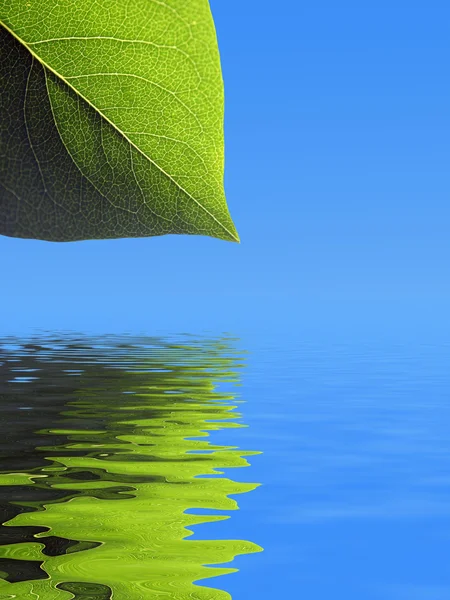 Leaf pattern background — Stock Photo, Image