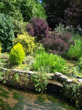 Nehir kenarı bahçesi