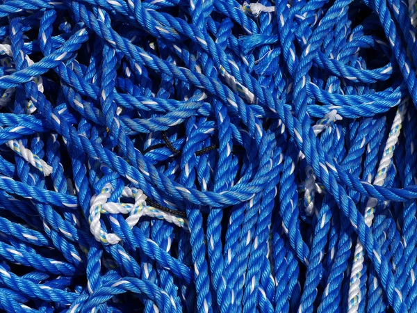 青と白のロープ — ストック写真
