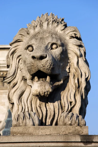 Leeuw sculptuur op de Kettingbrug in Boedapest — Stockfoto