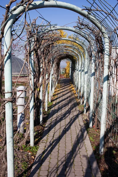Camino en un jardín — Foto de Stock