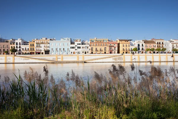 Seville bölgesindeki nehir — Stok fotoğraf