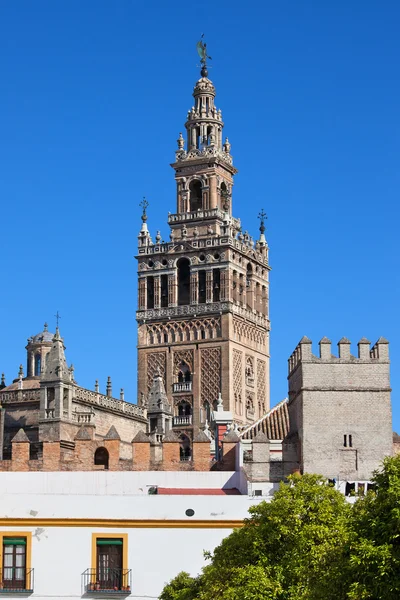 Klocktornet Giralda i Sevilla — Stockfoto