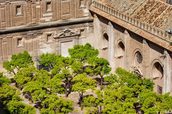 Patio de los Naranjos della Cattedrale di Siviglia — Foto Stock