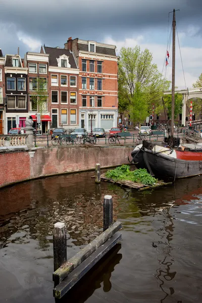 Amstel rivier waterkant in amsterdam — Stockfoto