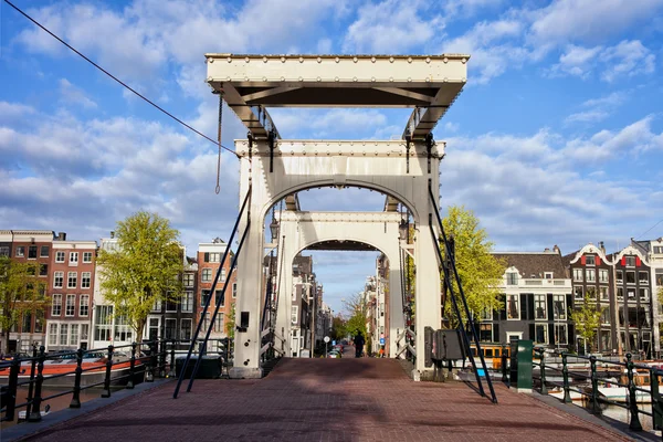 Amsterdam'da sıska Köprüsü — Stok fotoğraf