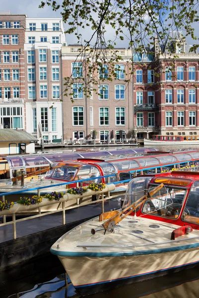 Cruceros en Amsterdam — Foto de Stock