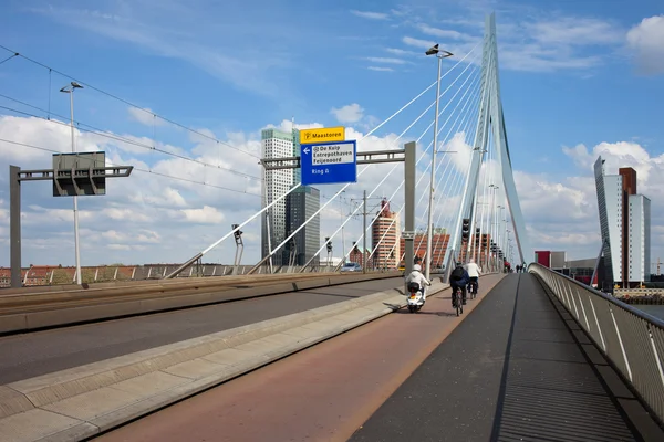 Erasmusbron i Rotterdam — Stockfoto