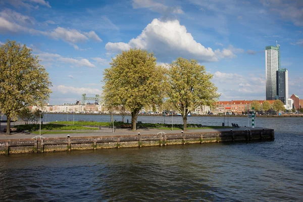 Nieuwe maas říční nábřeží v Rotterdamu — Stock fotografie