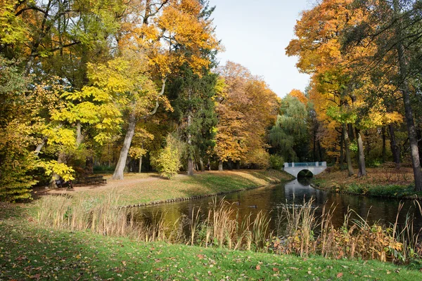 Royal Lazienki Park in Warsaw — Stock Photo, Image