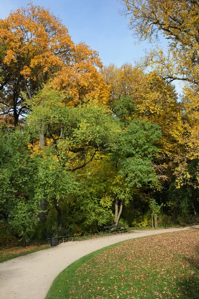 Lazienki Park ในวอร์ซอว์ — ภาพถ่ายสต็อก