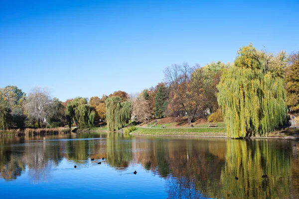 바르샤바에 있는 moczydlo 공원 — 스톡 사진