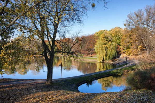 Moczydlo park i Warszawa — Stockfoto