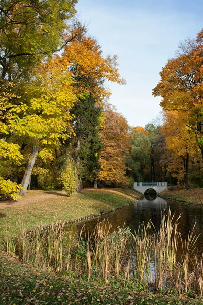 Lazienki Park in Warsaw — Stock Photo, Image