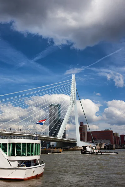 Erasmus brug over de nieuwe maas rivier in rotterdam — Stockfoto