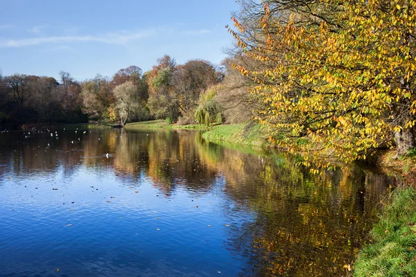 Skaryszewski park i Warszawa — Stockfoto