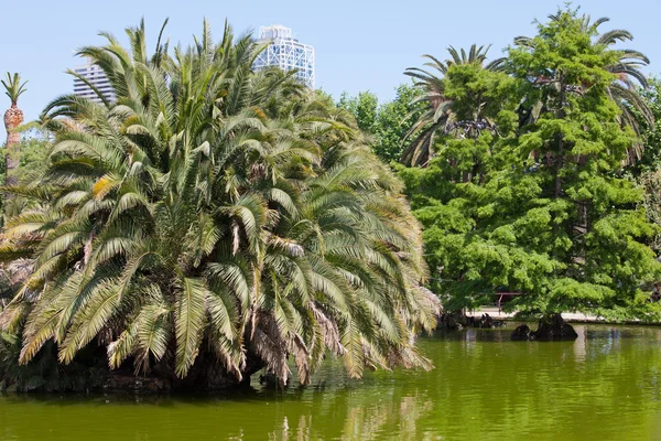Lake in het Ciutadella Park in Barcelona — Stockfoto
