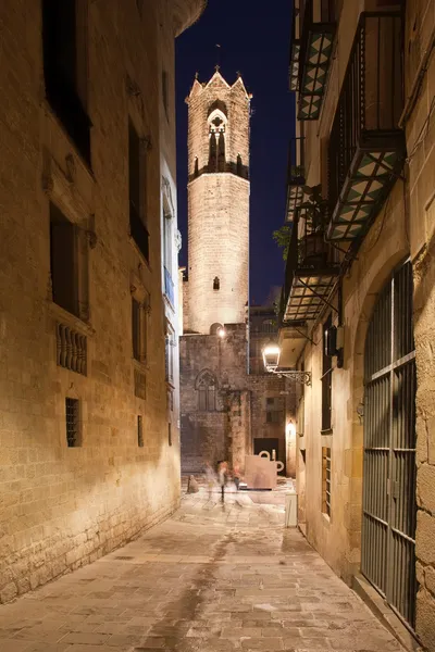 Notte nel Quartiere Gotico di Barcellona — Foto Stock