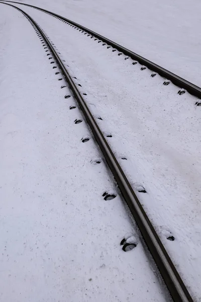 Ferrocarril Terreno Cubierto Nieve Estación Fría Invierno Negocio Del Transporte — Foto de Stock