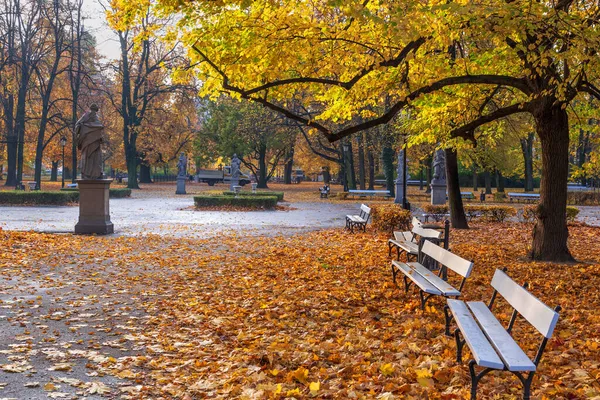 位于波兰华沙的撒克逊花园 Ogrod Saski 秋天的风景 有小巷 落叶和长椅 市中心的公园 — 图库照片