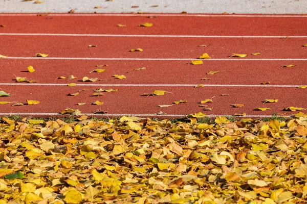 Running Track Lanes Athletes Field Covered Fallen Leaves Autumn Sport — Stock Photo, Image