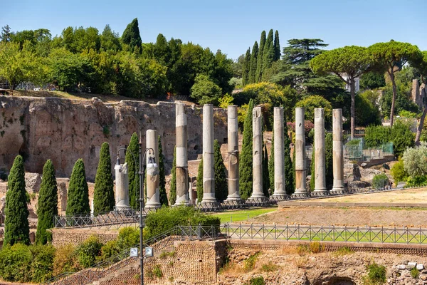 Rome Italy Palatine Hill Ancient Columns Sacra Roman Forum — ストック写真