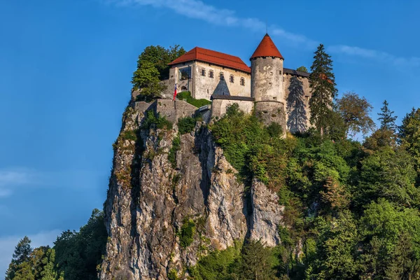 Bled Castle Slovenia Medieval Fortress Perched Cliff Top Julian Alps — Fotografia de Stock