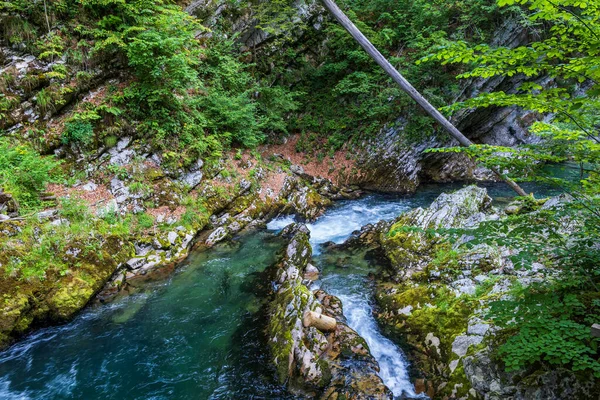 Landscape Radovna Mountain River Vintgar Gorge Triglav National Park Slovenia — Stock fotografie