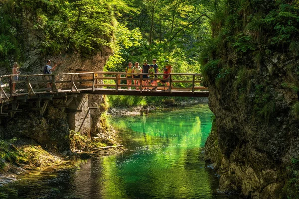 Vintgar Gorge Bled Slovenia July 2022 Group People Taking Pictures — 图库照片