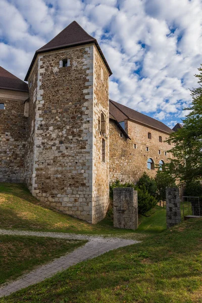 Ljubljana Slott Staden Ljubljana Slovenien Medeltida Sten Slott Med Anor — Stockfoto