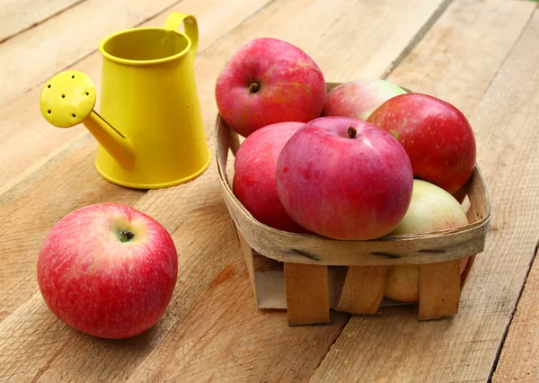 Harvest of apples — Stock Photo, Image