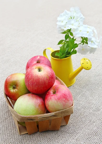 Kleinen Korb von Äpfeln und Bouquet von weißen Phloxes auf Leinwand — Stockfoto