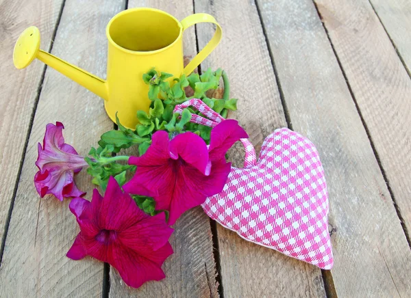 Bouquet di petunia e cuore — Foto Stock