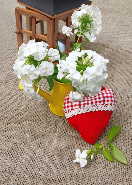 Bouquet of phloxes and red heart on a canvas background — Stock Photo, Image