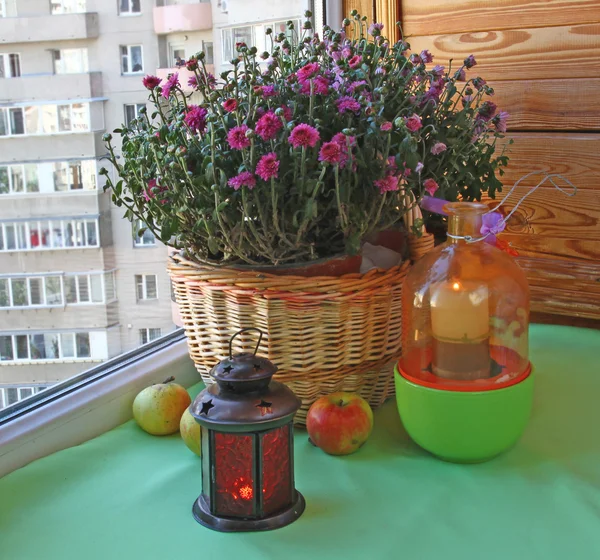 Chrysanthemums in a decoration of a balcony — Stock Photo, Image